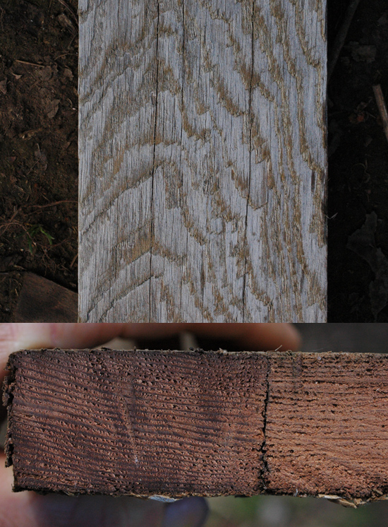 "a sima" vagy "lapos" fűrészelt fa a megsértett gabona megtestesítője a lapos oldalon, és gyakran rossz választás a hajlításhoz.